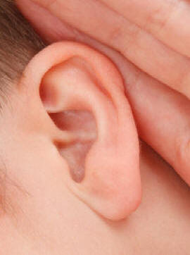 oreille2